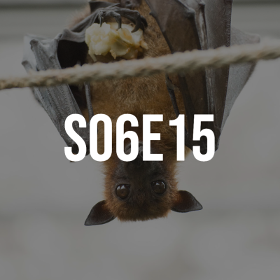 episode 15: ¿Son vampiros? artwork