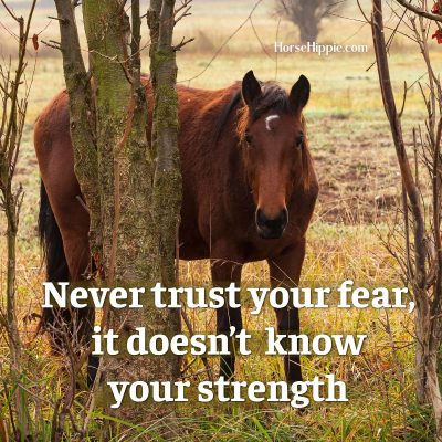 episode Fear artwork