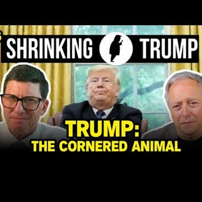 episode Epstein Files Frenzy and Court Losses Fuel Trump’s Collapse artwork