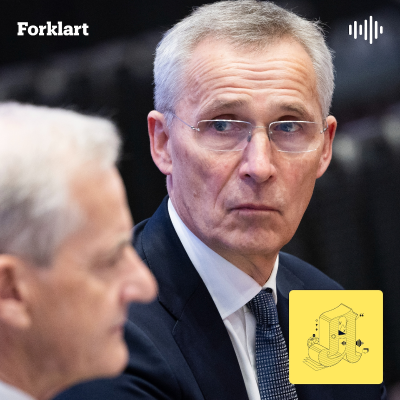 episode Tiktok-trenden som redder budsjettet artwork
