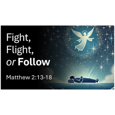 episode Fight, Flight, or Follow artwork