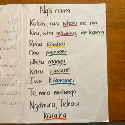 episode Ngā Nama me ngā tae o ngā rākau artwork
