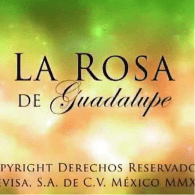 episode La rosa de Guadalupe artwork