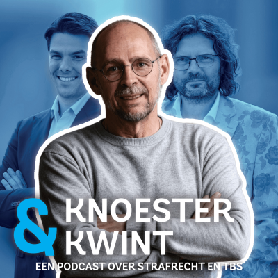 episode “Ik hoorde stemmen die me vertelden wat ik moest doen” de psychose van Toon Walravens (Ervaringsdeskundige) artwork