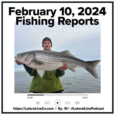 episode Fishing Reports: East Coast and Chesapeake Bay Saltwater Fishing Reports updated February 10, 2024 artwork