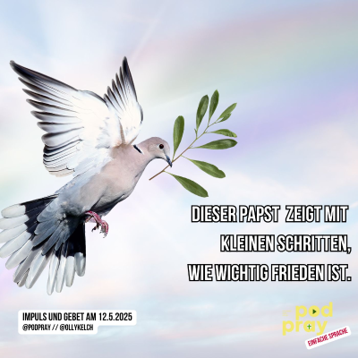 episode Kleine Schritte zum Frieden (12.5.2025) artwork