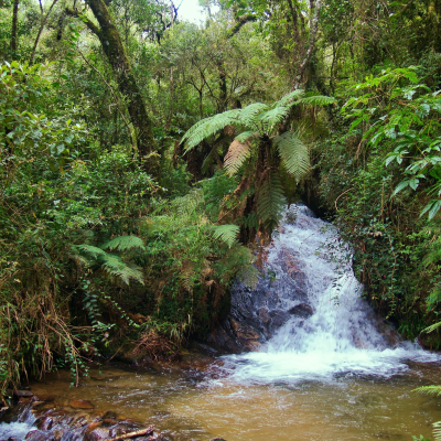 episode 58. How Do We Know What Is True? artwork