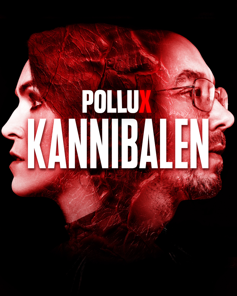 cover image of "Pollux"