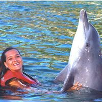 Agnestv