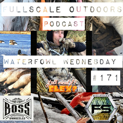 episode Waterfowl Wednesday #171 artwork