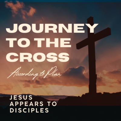 episode Journey to the Cross - "Jesus Appears to Disciples" 4/27/25 (Jason Swain) artwork