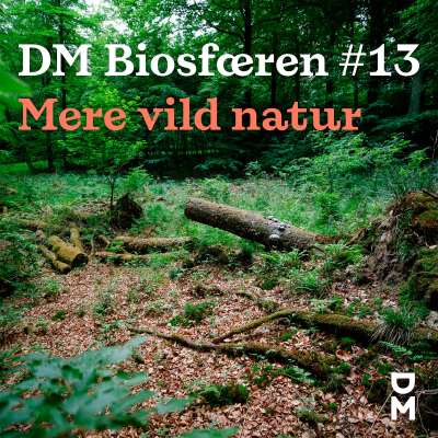 episode DM Biosfæren: Poetiske sommerfugle, store planteædere og vejen til mere vild natur artwork