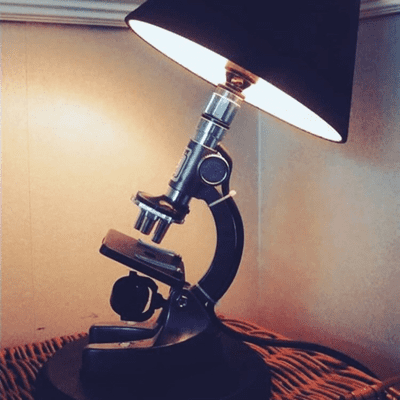 Historias de la Ciencia en el mundo actual (introducción)