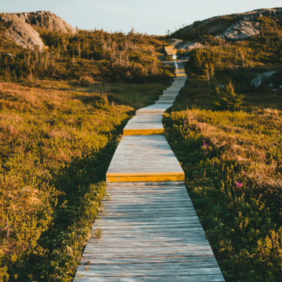 episode Sermon25: 29Jun25 'Against triumphalism', by Pastor Rev. Andy Willis artwork