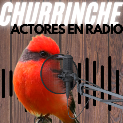 episode Churrinche (06 Diciembre 2024) artwork