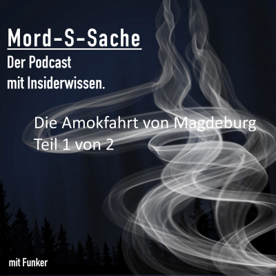 episode Folge 41 - die Amokfahrt von Magdeburg 1/2 artwork