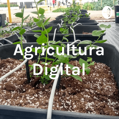 Agricultura Digital
