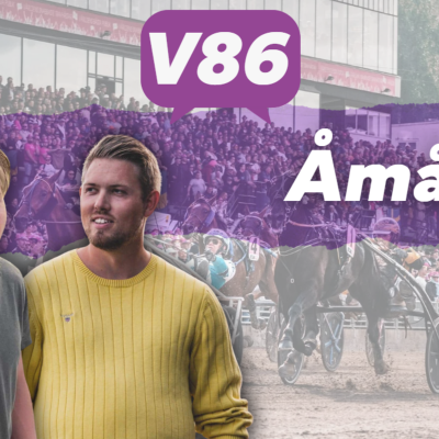 episode V86 tips till Åmål 4/6 - Bygger system live! artwork