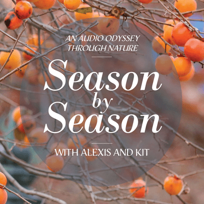 episode The Beginning of Winter artwork
