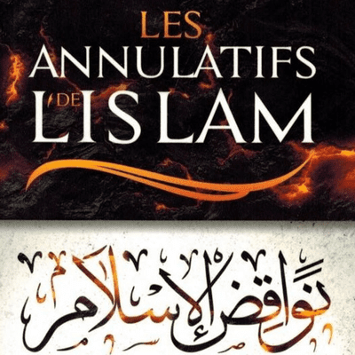 episode Nawaqid Al-islam 09_Abou ibrahim Souleyman Diallo artwork