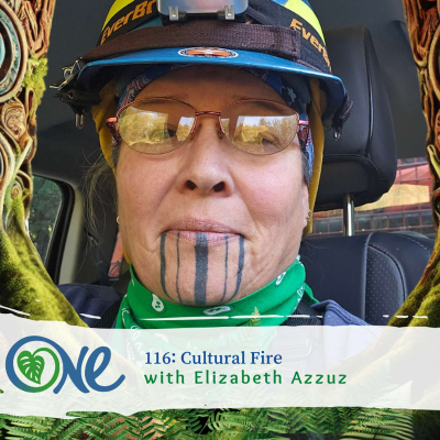 episode Cultural Fire with Elizabeth Azuzz artwork