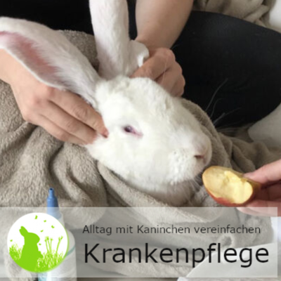 episode Krankenpflege vereinfachen - mach dir den Alltag leichter! artwork