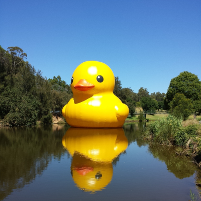 episode Duck Podcast 8: Marwa Daoudy artwork