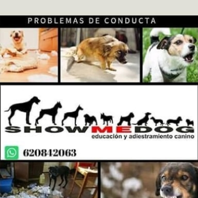 episode Entrevista a Anahí Diaz sobre adiestramiento canino y perretes que necesitan modificar su conducta. artwork