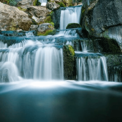 episode Perception Part 2 & The Flow of Life artwork