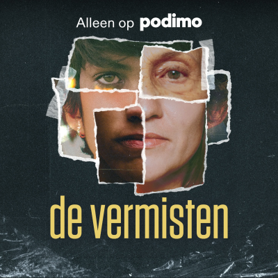 Cover image De Vermisten