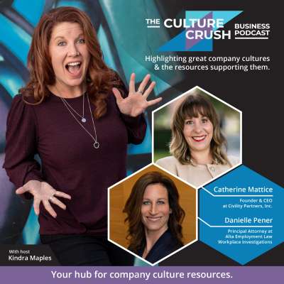 episode Navigating and Transforming Toxic Workplace Cultures artwork