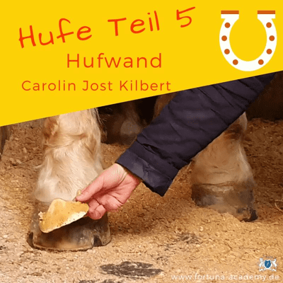 episode Warum hat ein 🐴 Pferd eine steile und flache Hufwand? artwork