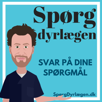 Spørg Dyrlægens dyrebrevkasse om katte- og hundesygdomme med dyrlæge Søren Drimer Pejstrup