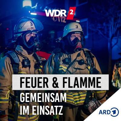 episode Wenn das Feuer überspringt: Gefahr im Wohngebiet artwork