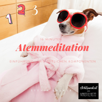 episode Atemmeditation - 2 - Zählen artwork