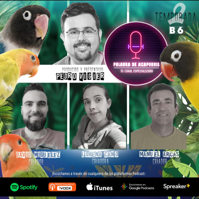 episode B6 Los Agapornis, peligra la afición artwork