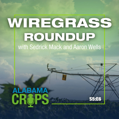 episode Season 5 Episode 6 — Wiregrass Roundup artwork