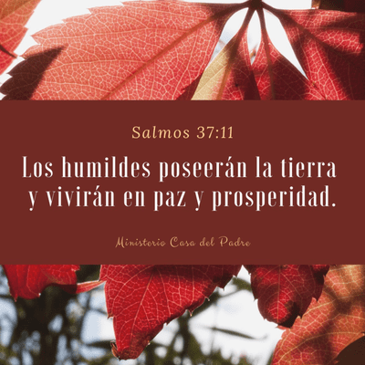 episode Cápsulas de Fe-Afirmando la Palabra de Dios artwork