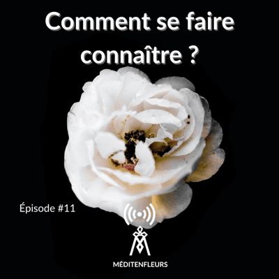 episode Episode 11 - Comment se faire connaître ? artwork