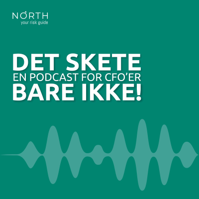 DET SKETE BARE IKKE! - Risikostyring og ledelse - North Risk