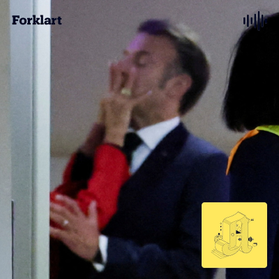episode Kona dyttet Macron. Så eksploderte internett. artwork