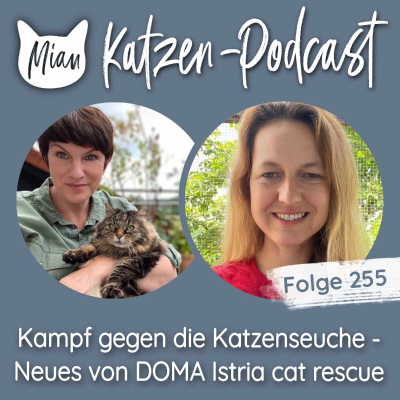 episode Kampf gegen die Katzenseuche | MKP255 artwork