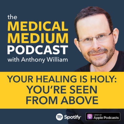 episode 102 Your Healing Is Holy: You're Seen From Above artwork