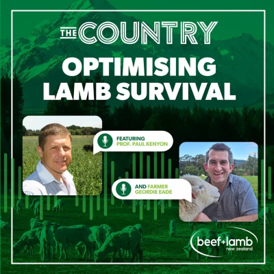 episode Optimising Lamb Survival Episode 2 with Professor Paul Kenyon and Geordie Eade artwork