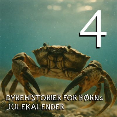 episode Julekalender - afsnit 4 artwork