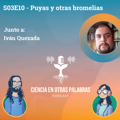 episode S03E10 - Puyas y otras Bromelias artwork
