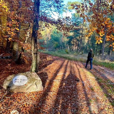 episode Wald und Klima (und: lebt denn der alte Holzboris noch?) artwork