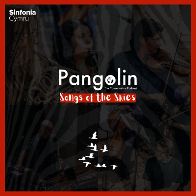 episode 115. Songs of the Skies (with Caroline Tress from Sinfonia Cymru) artwork