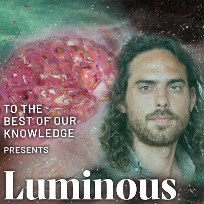 episode Chris Timmerman on how DMT can deconstruct the mind artwork