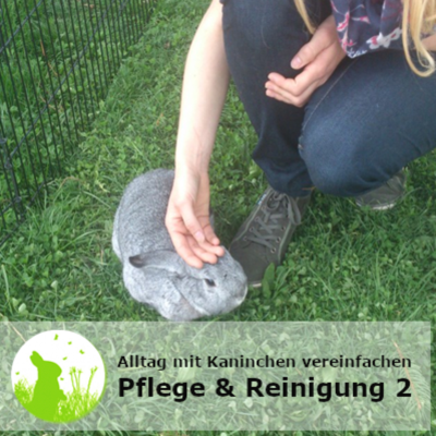 episode Pflege & Reinigung vereinfachen Teil 2 - so machst du dir die tägliche Versorgung leichter! artwork